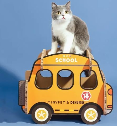 to SCHOOL