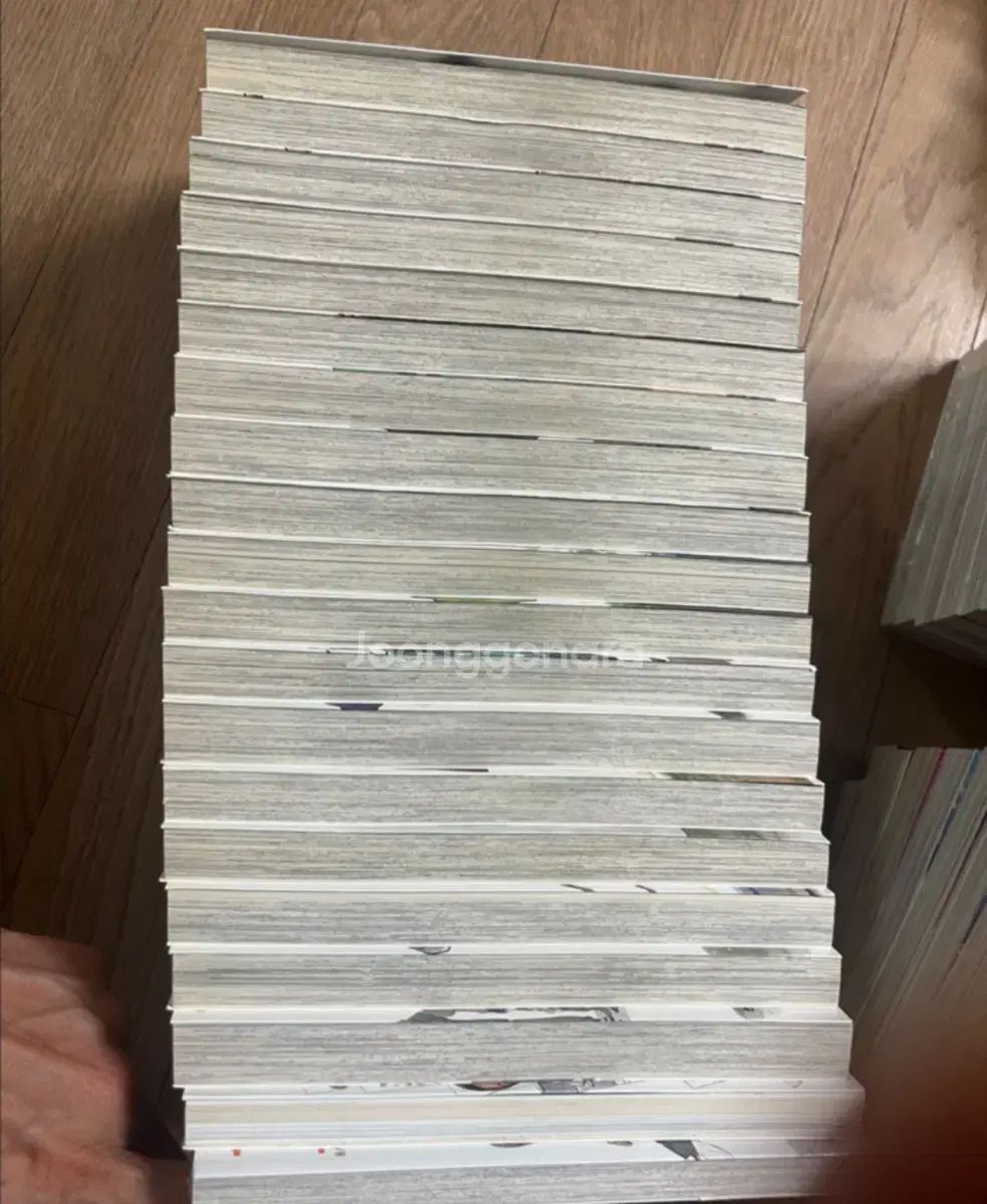 ばらかもん 1 ー 19 18 含む 全巻 完結