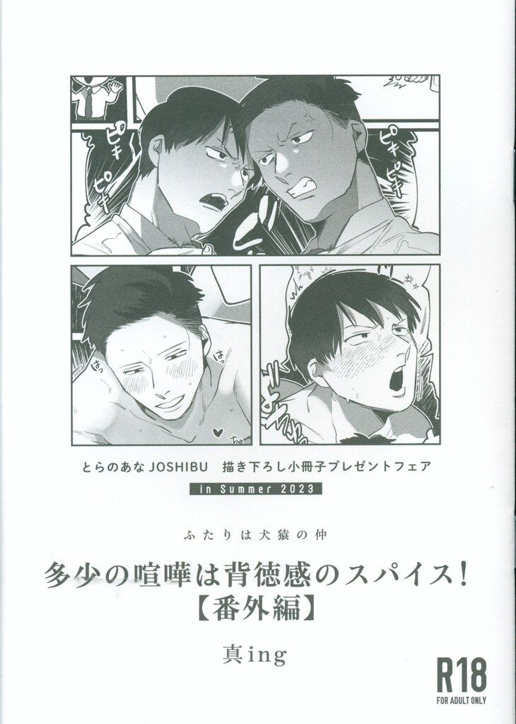 書店配布/とらのあなJOSHIBU描き下ろし小冊子inSummer 真ing