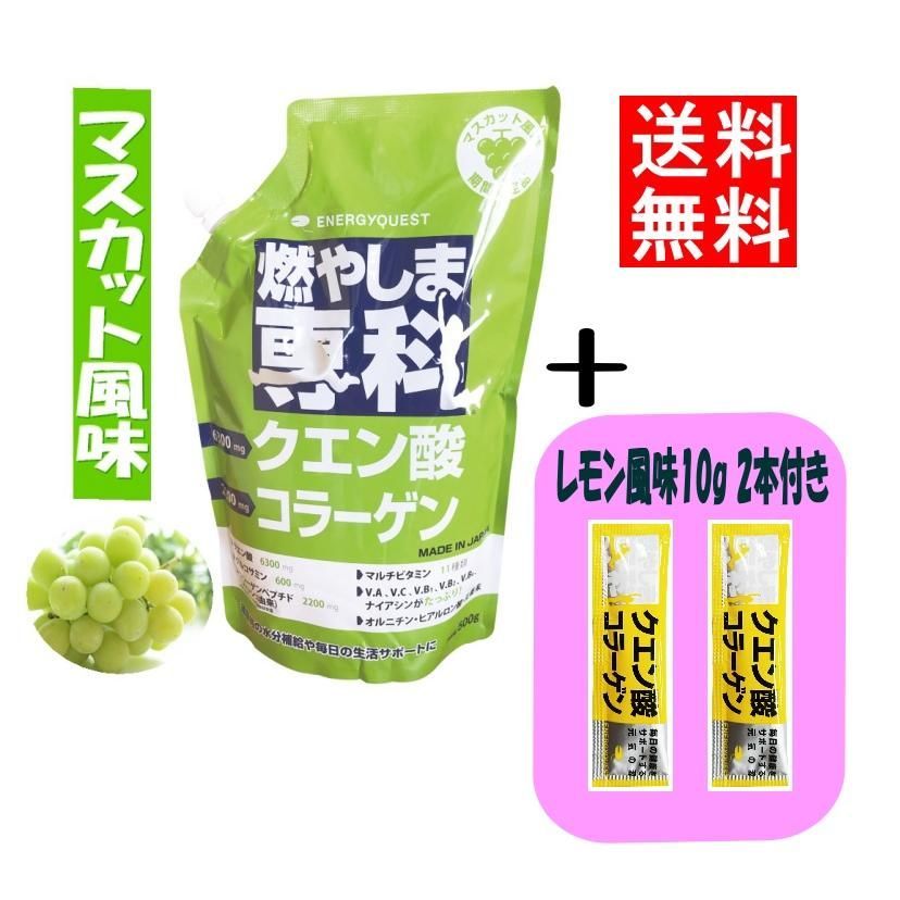 定番2023 エナジークエスト 燃やしま専科 レモン風味 500g 2袋 クエン