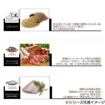 総合栄養食