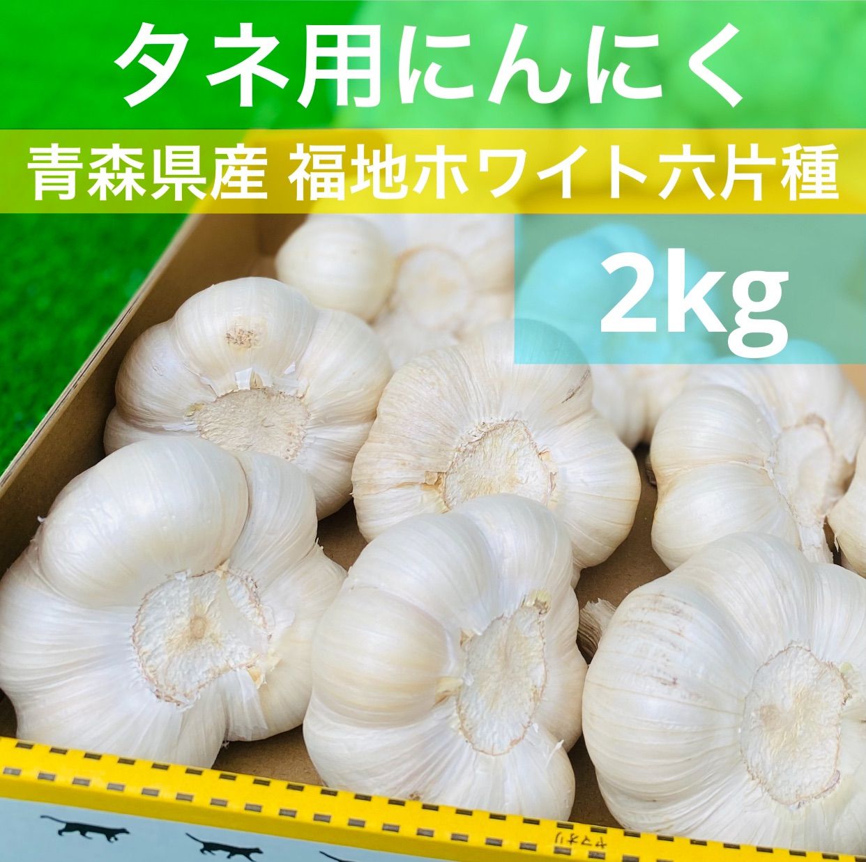 消毒 にんにく種 6キロ L 消毒 にんにく種 6キロ L