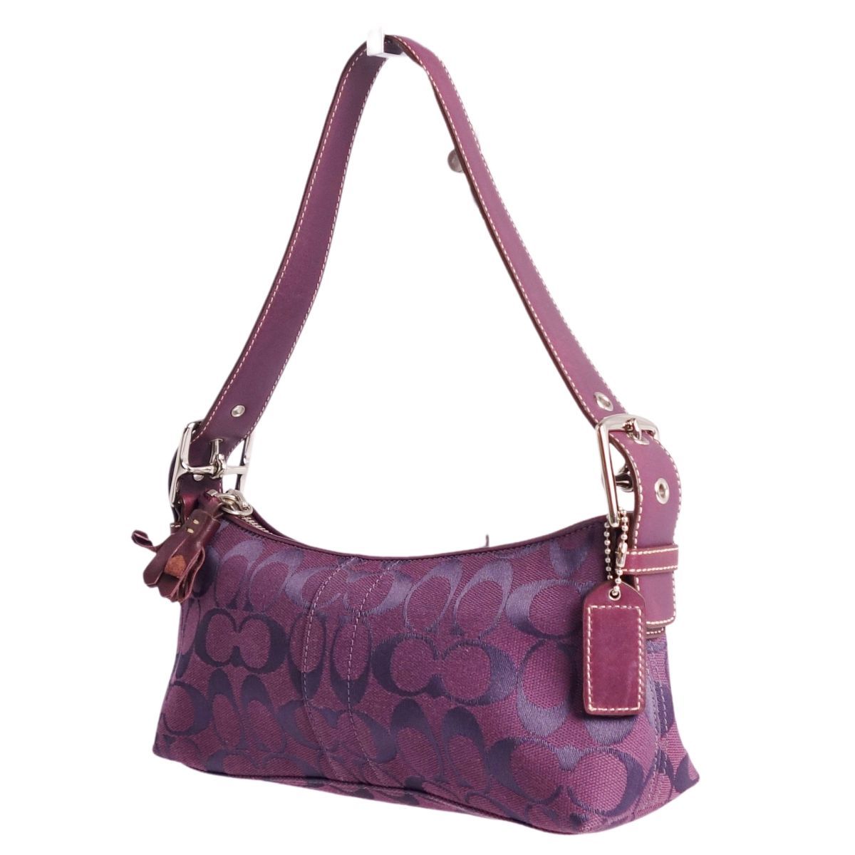 極美品 コーチ アクセサリーポーチ ショルダー オプアート ワン