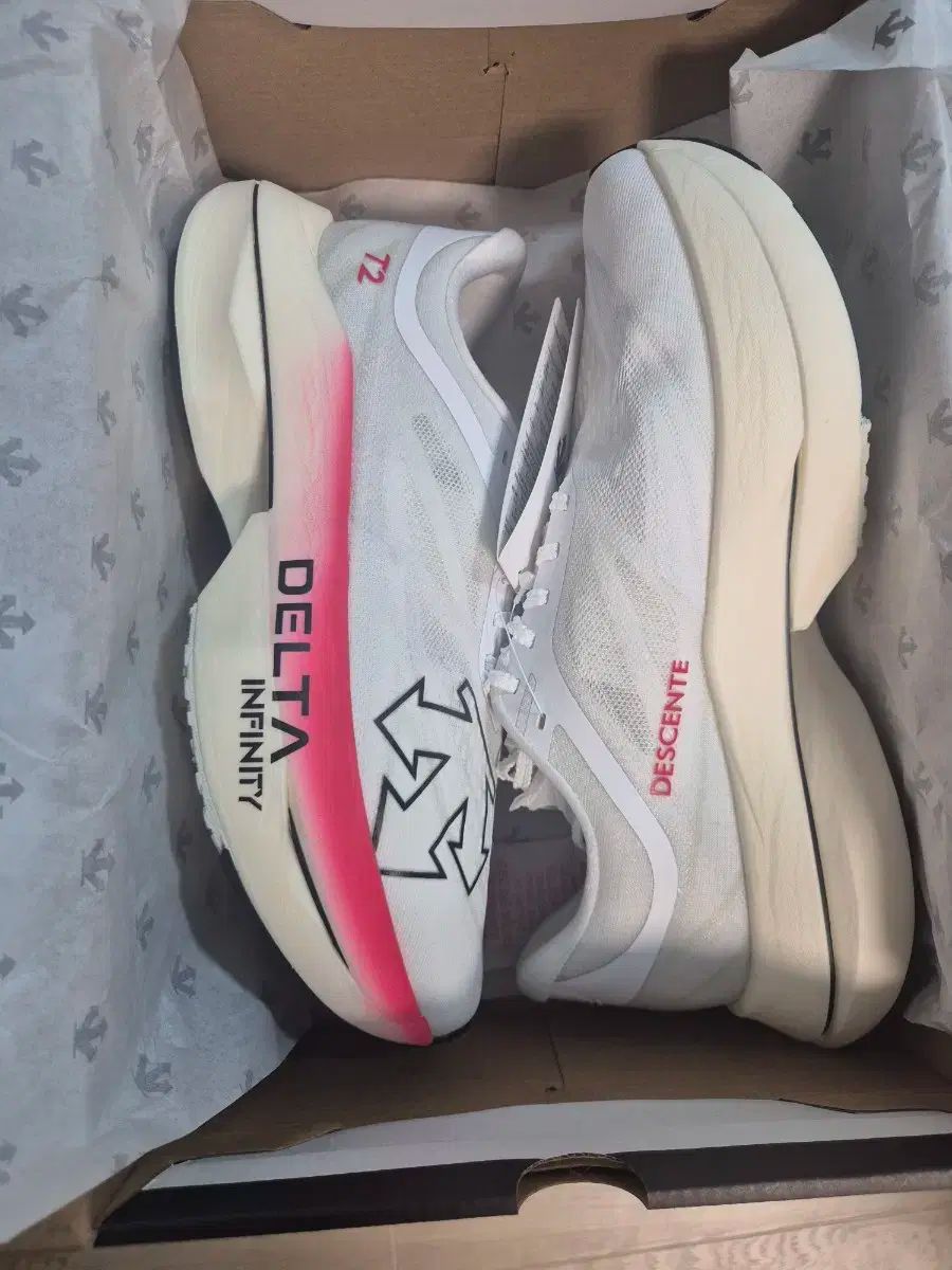 DESCENTE デサント deltapro exp v2 280