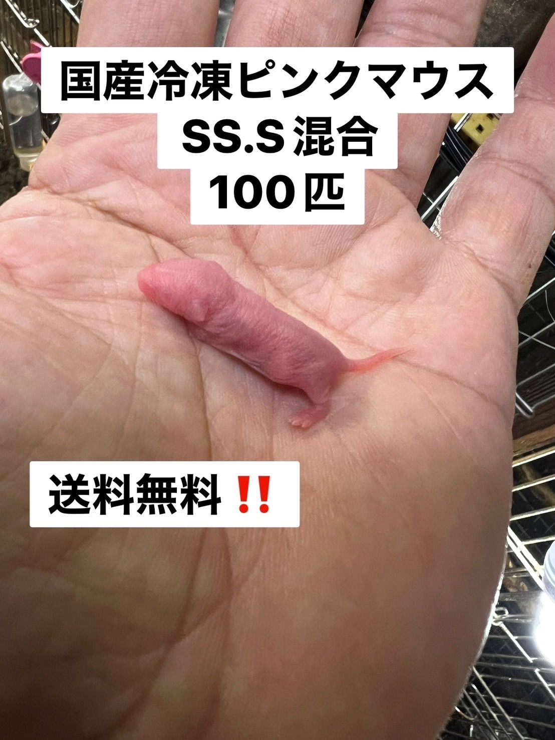 送料無料 冷凍ピンクマウスS 100匹 G様専用 国産冷凍ピンクマウスS100