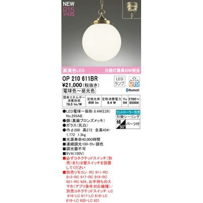 【新品・7営業日以内発送】オーデリック ODELIC OP210611BR ランプ別梱包【沖縄離島販売不可】