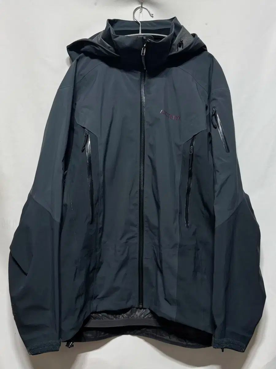 L ARC TERYX アークテリクス センターロゴ GORE-TEX₍ゴアテックス ジャケット