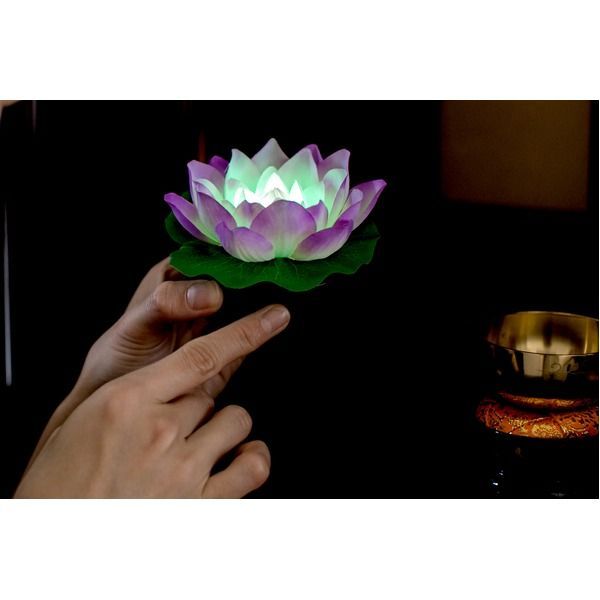 ゆらぎ 一対セット