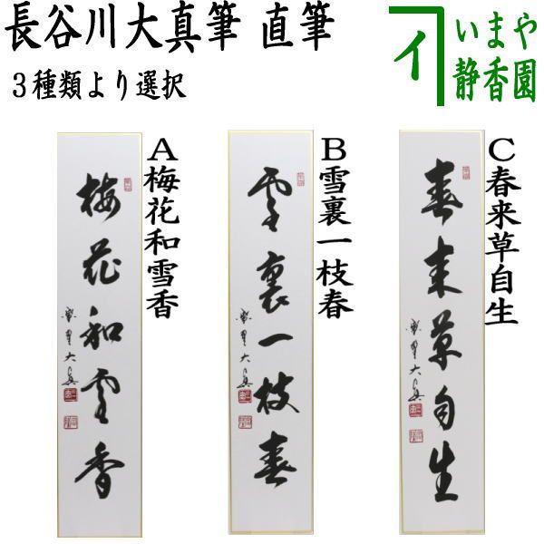 茶器|茶道具 短冊 直筆 梅花和雪香又は雪裏一枝春又は春来草自生 長谷川大真筆