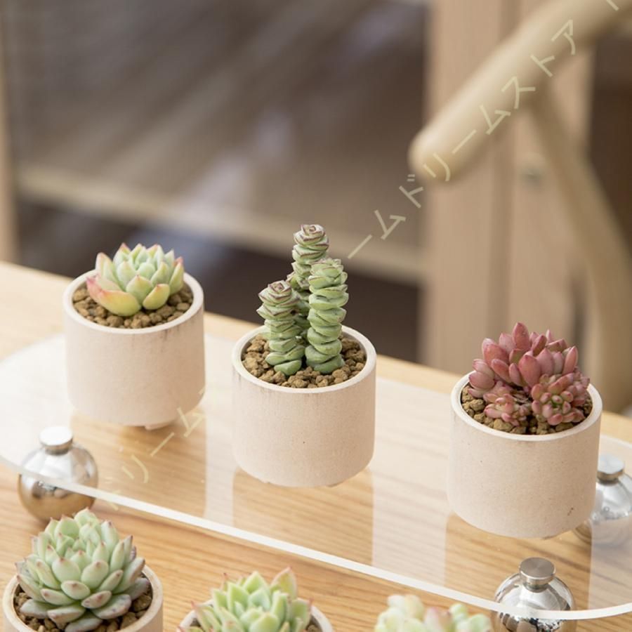 植木鉢 18個入り 多肉植物ポット プランター 陶器鉢 盆栽 親指