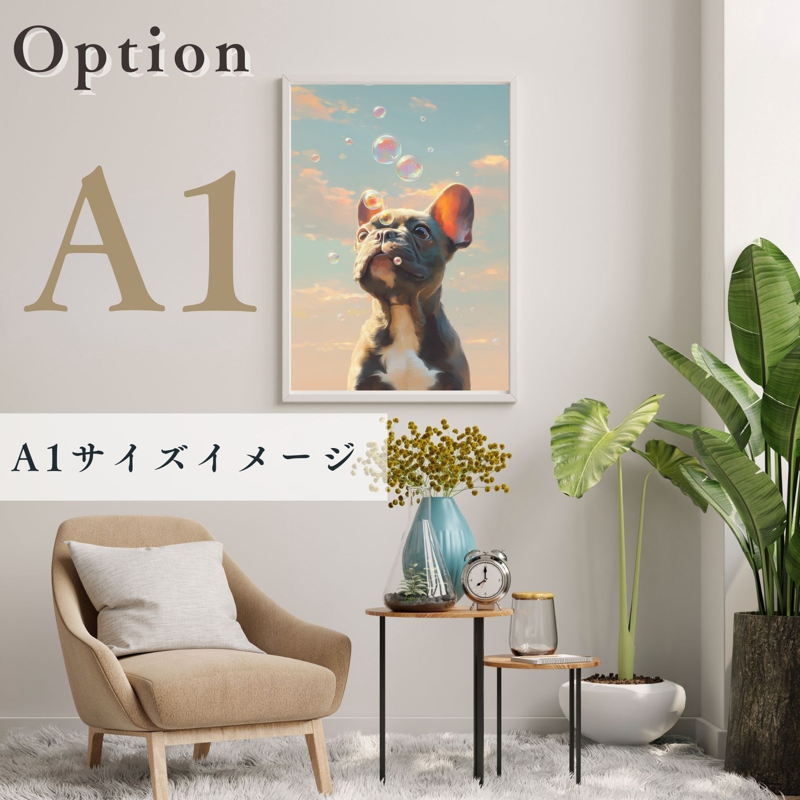 フレンチブルドッグ犬