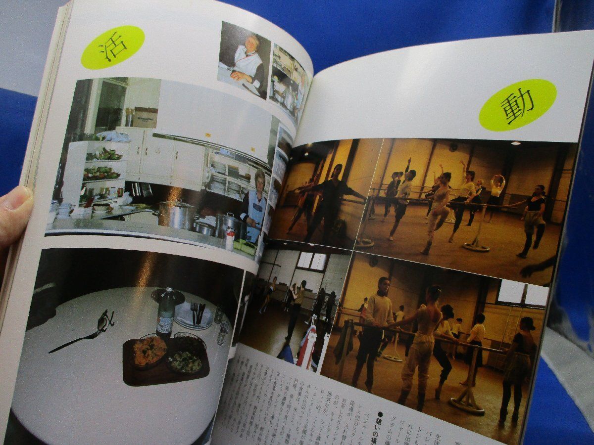 ジョルジュドン