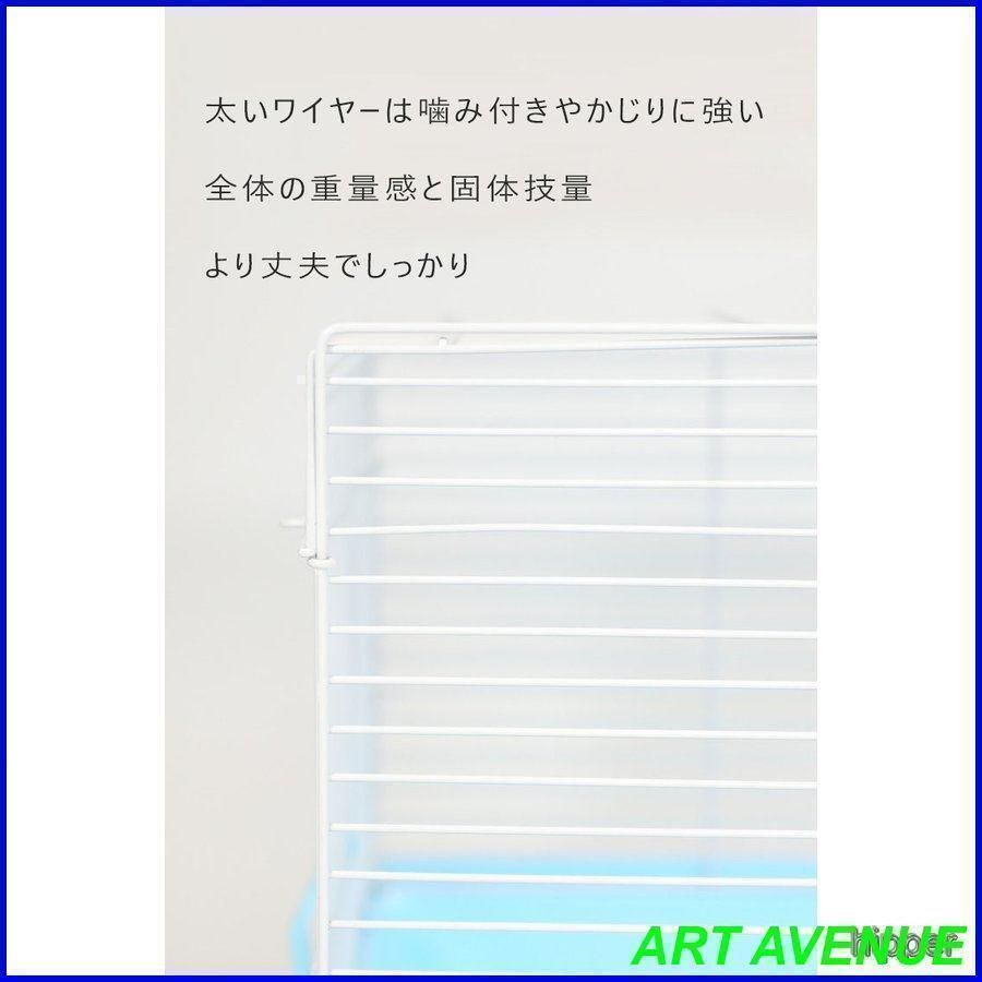 ゴールデン ジャンガリアン