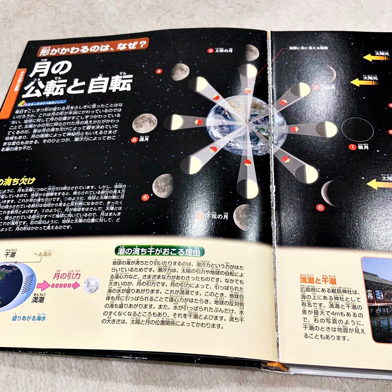 講談社の動く図鑑MOVE 10冊セット - メルカリ
