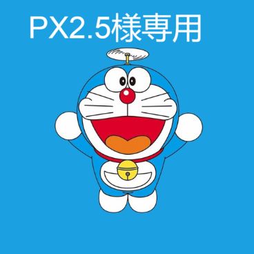 PX2.5