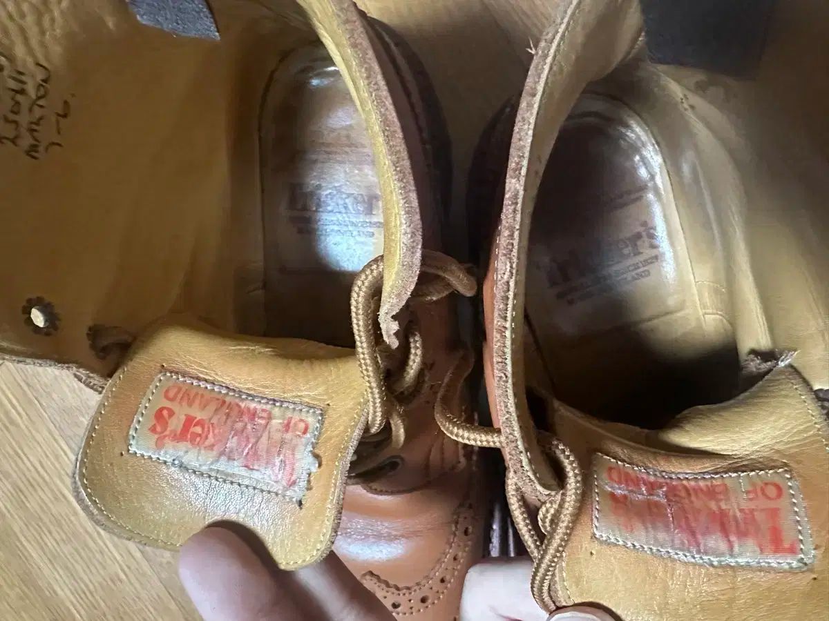 5 ツリーあんさんぶるスターズ