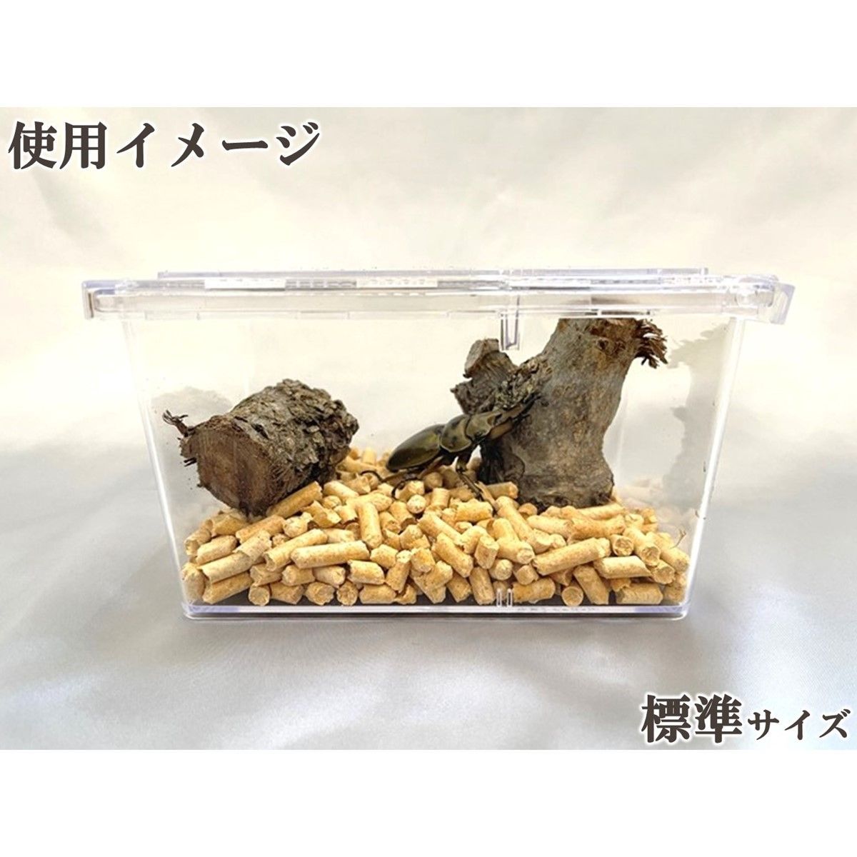 DDA】クリアースライダー 標準 4個セット dda クワガタ