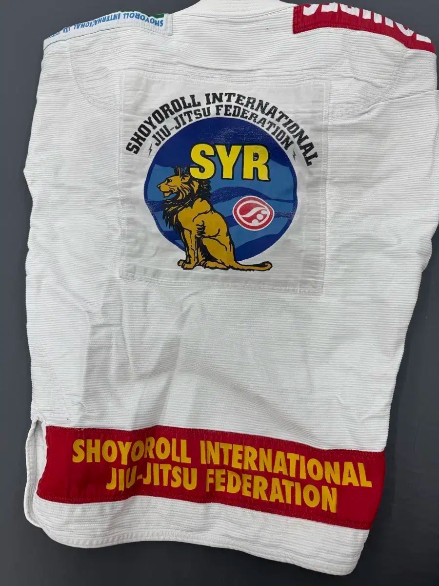 ソヨロール フェデレーション 1 a1