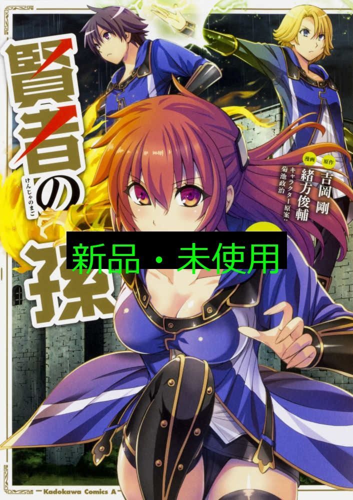 賢者の孫 (6) (角川コミックス・エース) 吉岡 剛? 菊池 政治
