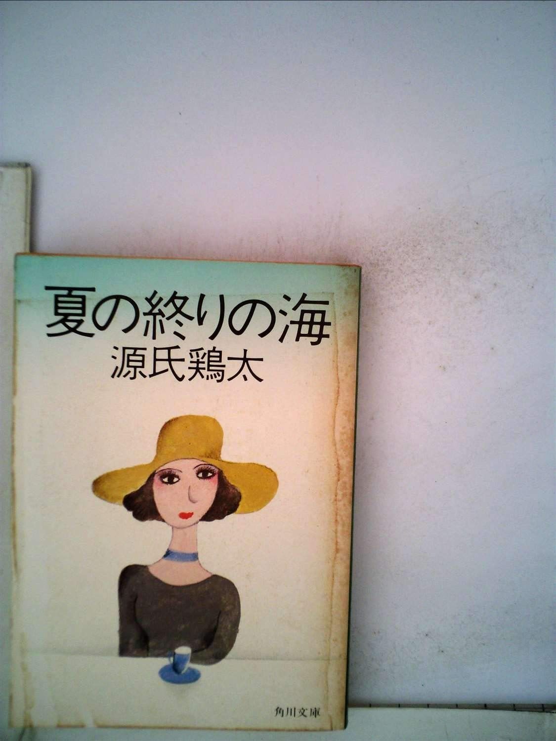 夏の終りの海 1979年 角川文庫