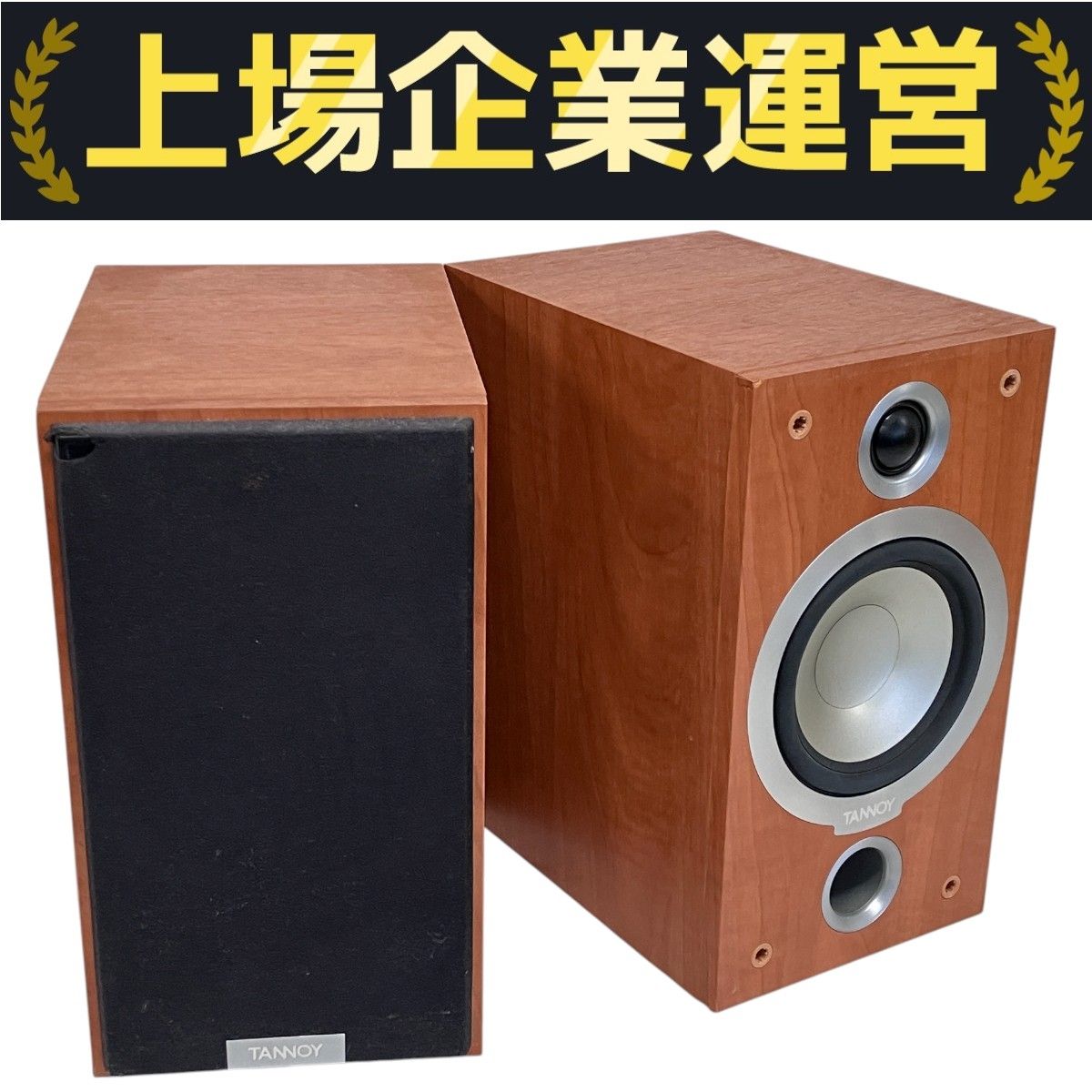 最終価格　TANNOY Mercury V1 ペア TANNOY MERCURY V1 スピーカーペア オーディオ 音響機器