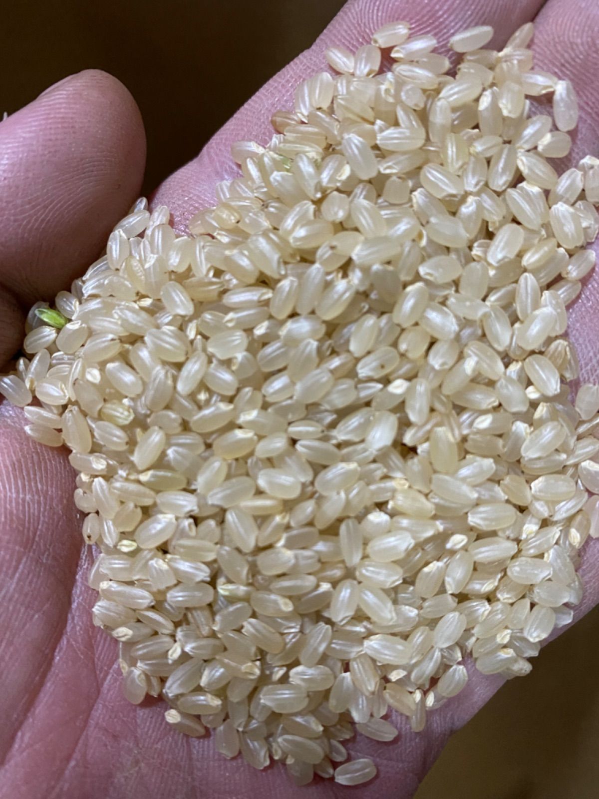 精米無料