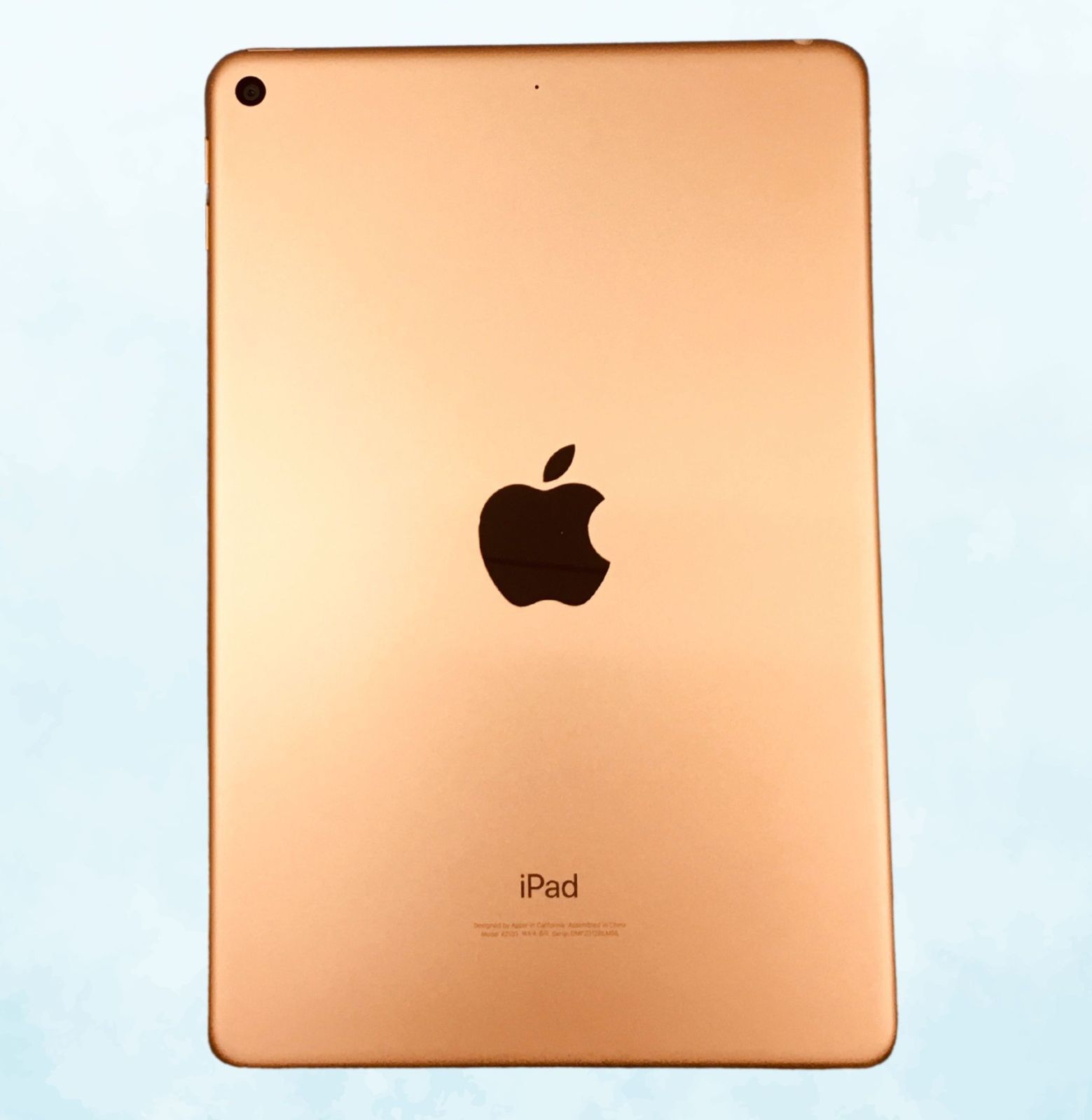 iPad 第5世代 128GB ゴールド