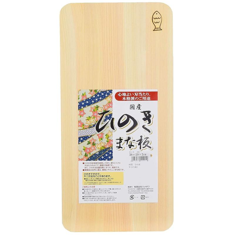 ビカクシダ ベイチー(ビーチー)ワイルドウッドプレート固定