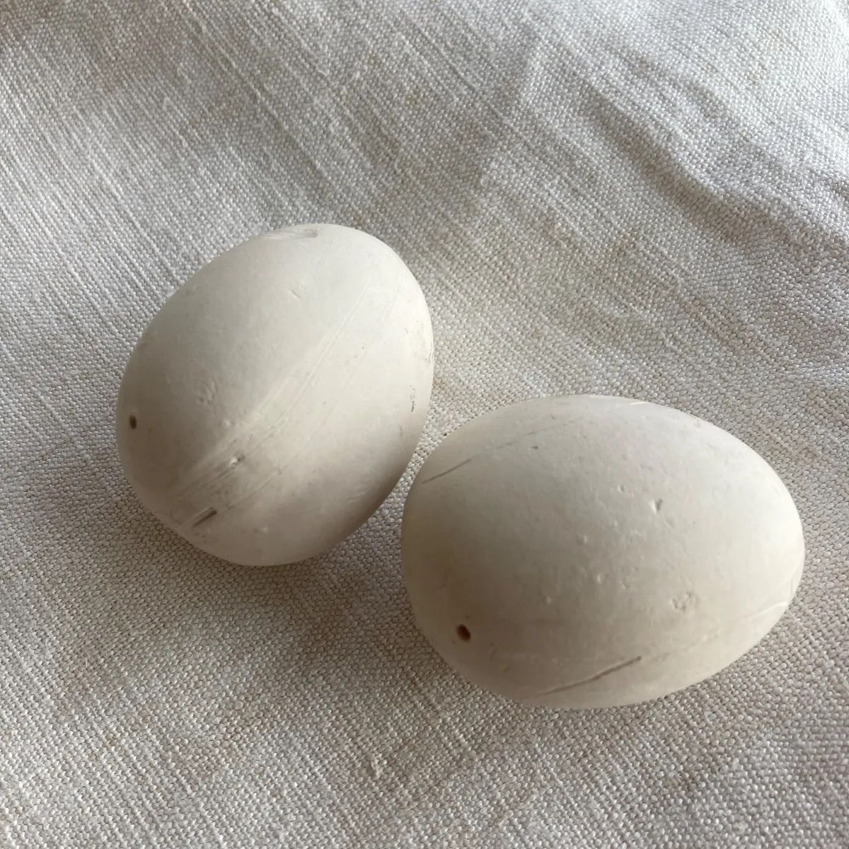 石膏製卵 模型 擬卵 フェイクエッグ デッサン モチーフ オブジェ 古物