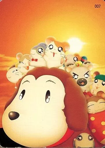 2025年最新】はむたろっとカードの人気アイテム - メルカリ