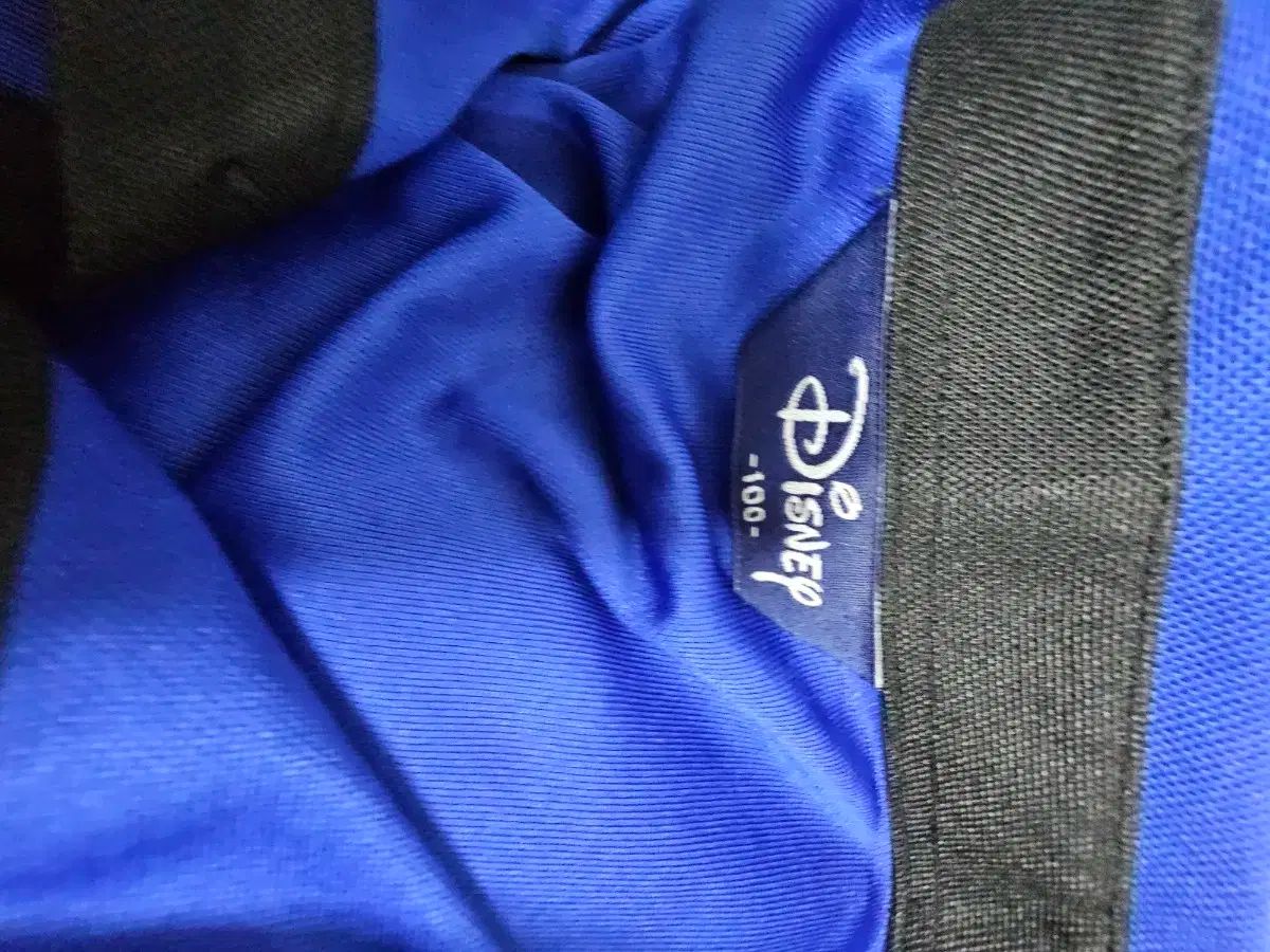 ディズニー GOLF BEAMS メンズ tシャツ（メンズウェア｜ウェア）：ゴルフ LABEL Champion REVERSE WEAVE×Disney×BEAMS (チャンピオン リバース ゴルフ ORANGE GOLF（ビームスゴルフ）の「〈MEN〉BEAMS 通販｜GDOゴルフショップ ファッションも楽しむ上級者の