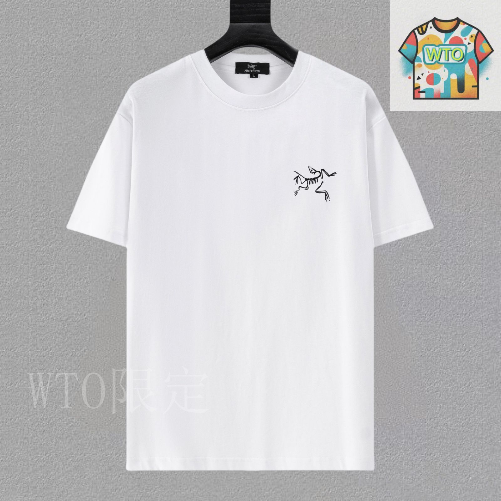 アークテリクス] ARCTERYX シーマショートスリーブシャツ女性用