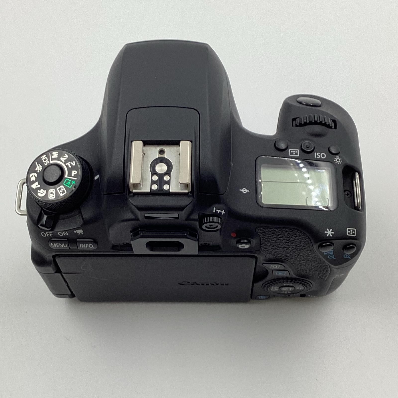 8000D ボディ