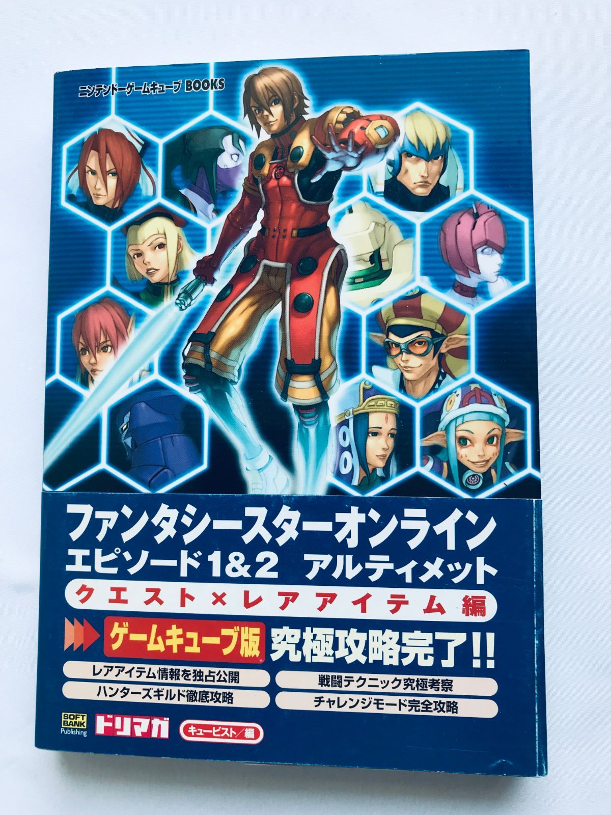 専用】ニンテンドー3DS ホワイト アンバサダープログラム 内蔵