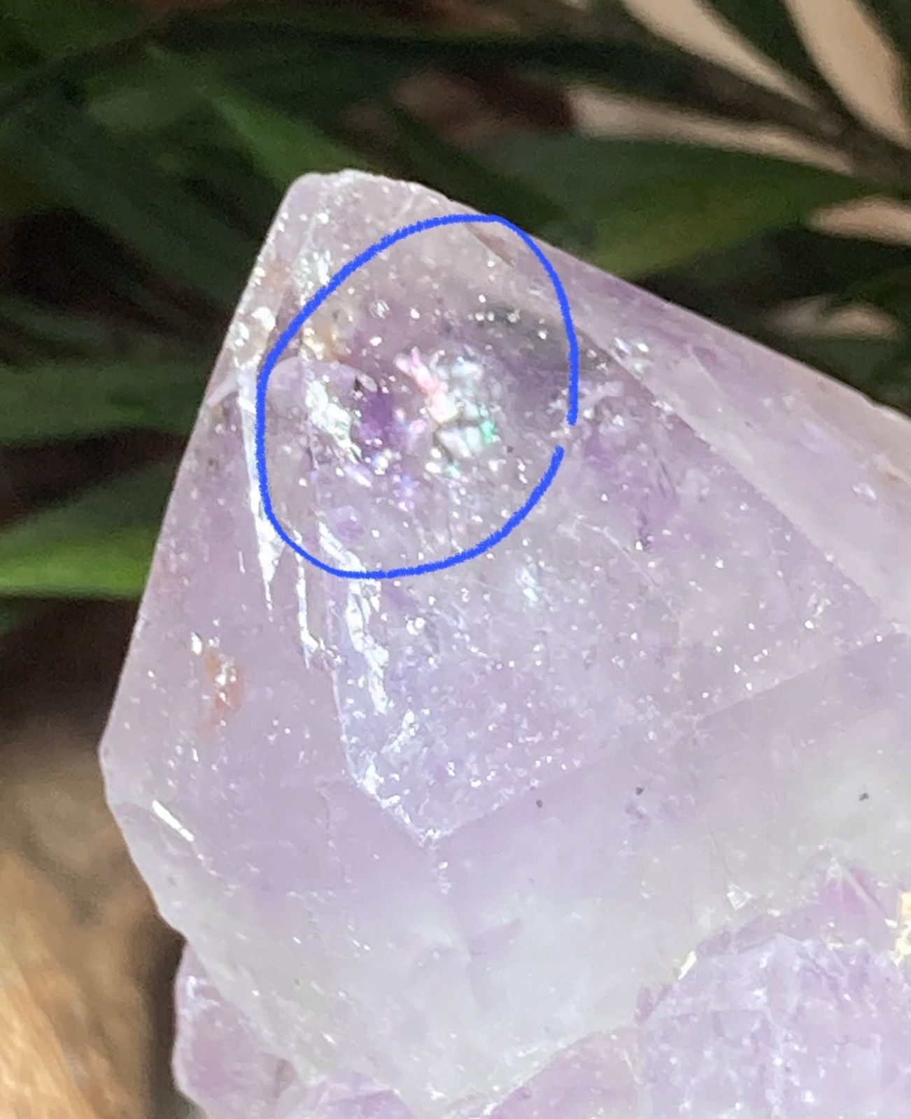 トライゴーニック✨カクタスアメジスト サボテン水晶 ラフ