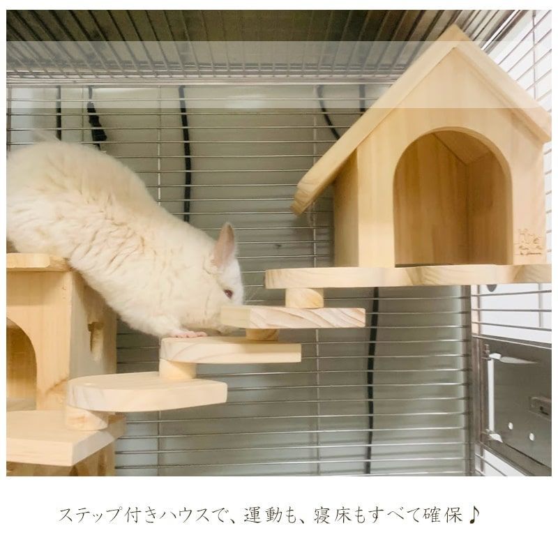 ビックハウス ステップ