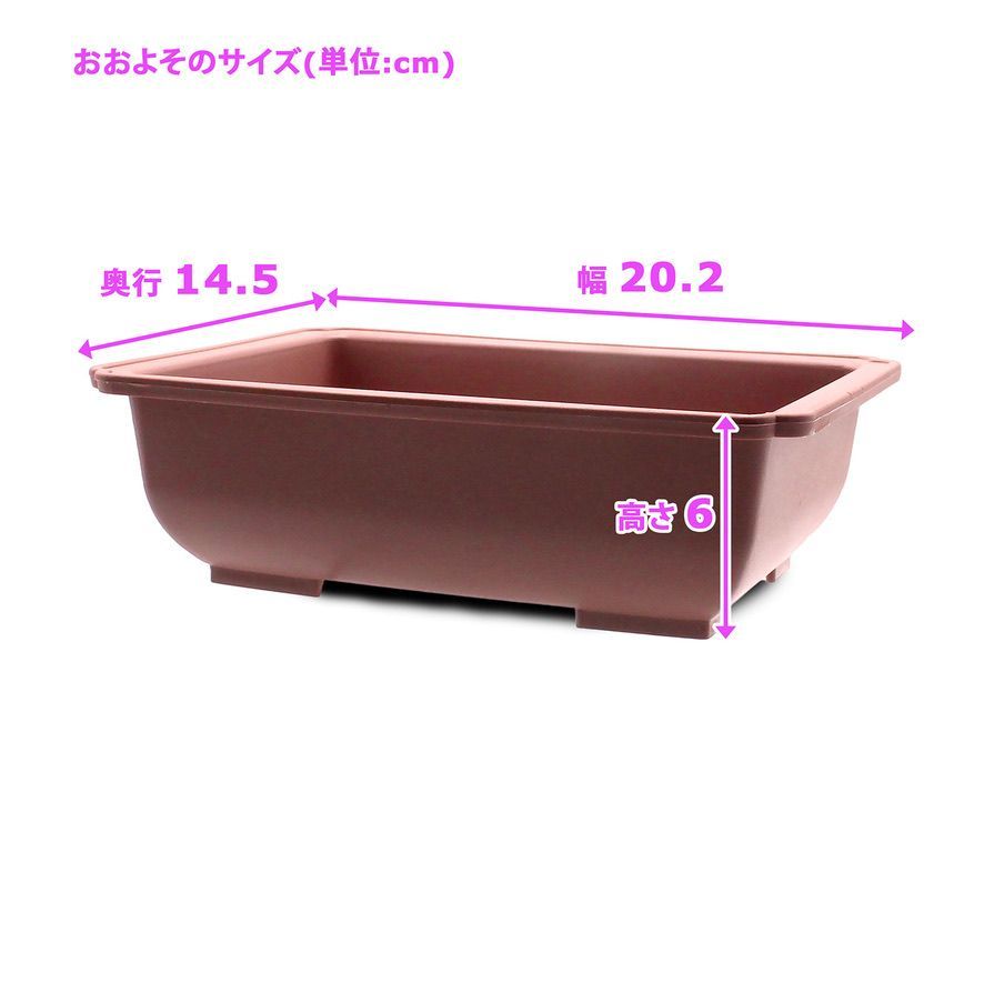 大和プラスチック 盆栽鉢 8号 長方鉢 長角 四角 ブラウン つや消し 浅