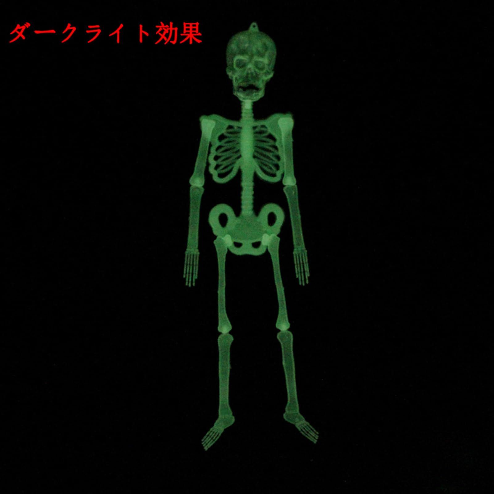 ★新品未使用★コストコ　ガイコツ　スカル　ハロウィン　約150cm 目が光る コストコにでっかいガイコツ☠️がいました😱 #ハロウィン
