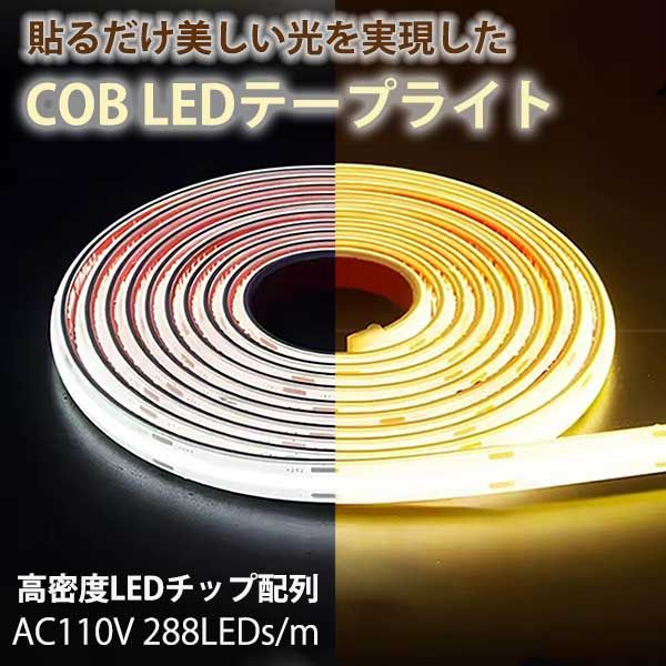 ハオルチア⭐️白銀の露 葉挿し⭐️ 発根済み、美品、すくすく成長中！ ハオルチア⭐️白銀の露 葉挿し⭐️ 発根済み、美品、すくすく成長中！