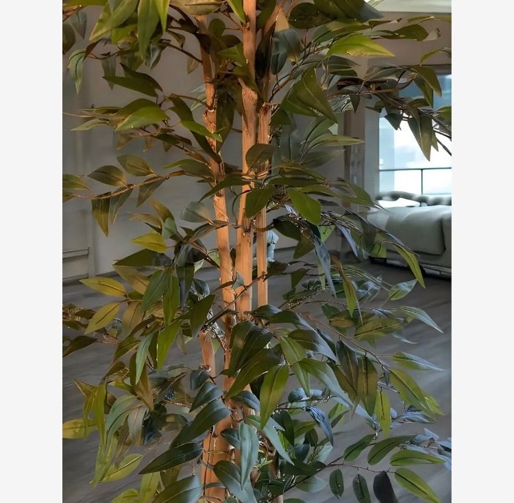 光触媒 人工観葉植物 フェイクグリーン イタリアンベンジャミン17570