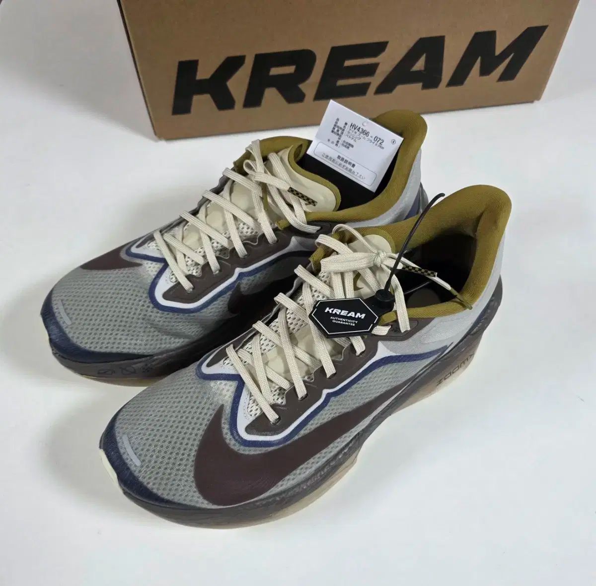 6 ライトボーン