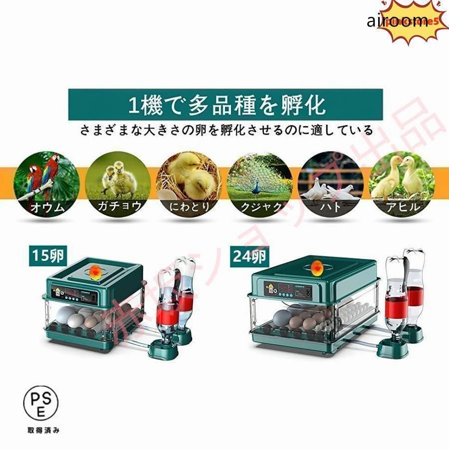 孵化器