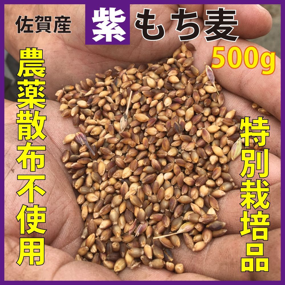 農薬不使用 小麦 玄麦 1キロ - 米・雑穀・粉類