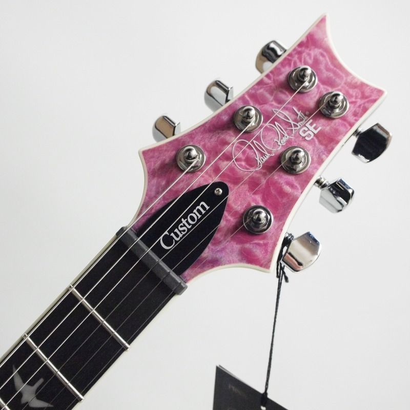 エレキギター自作DIYキット PRSタイプ24フレットバードインレイ - 楽器 