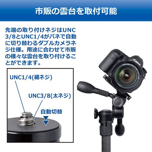 ベルボン