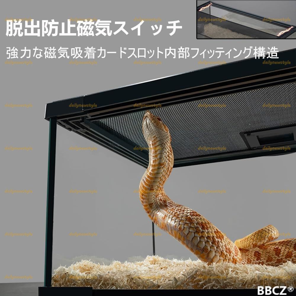 人気推薦 爬虫類