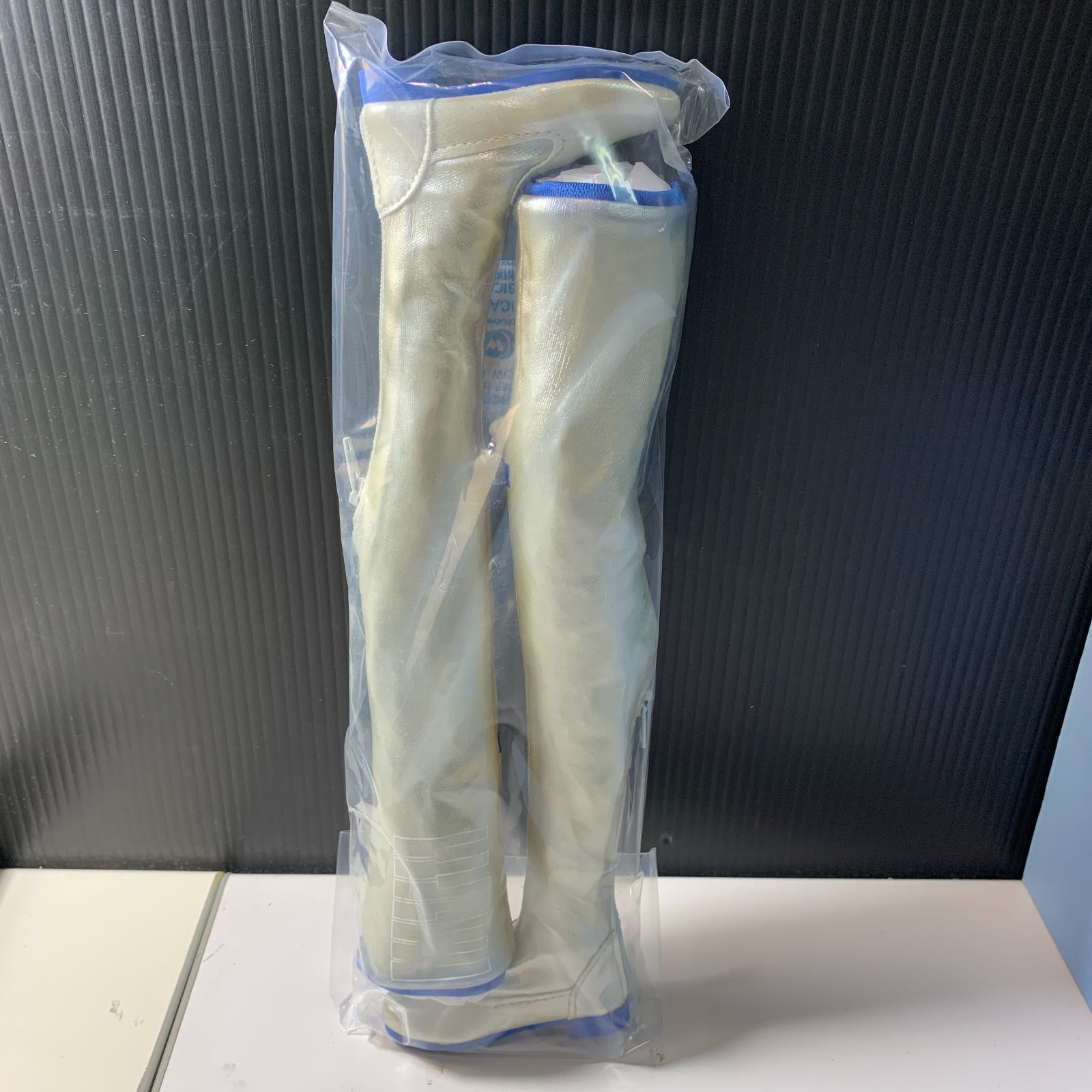 雪ミク ドルフィードリーム