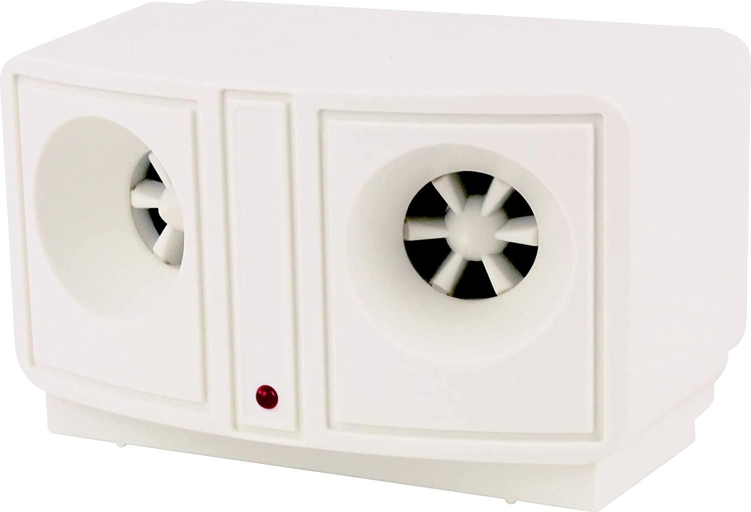 伊藤さやか　CD LP EP カセット チラシ 伊藤さやか CD LP EP カセット チラシ - メルカリ