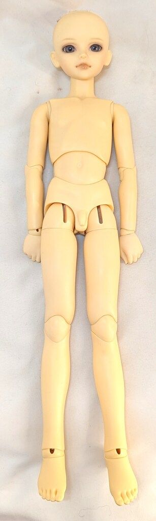 ボークス MSD男の子 フルチョイス F-09 ノーマル肌 - メルカリ