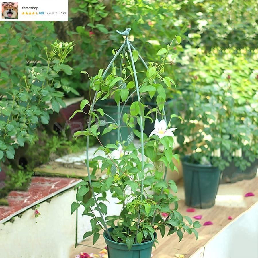 オベリスク トレリス 庭のレトロなオベリスクの金属のトレリスの花のサポート 植物のサポートトレリス屋内屋外のの登山植物 鉢植えの植物 花のローズの